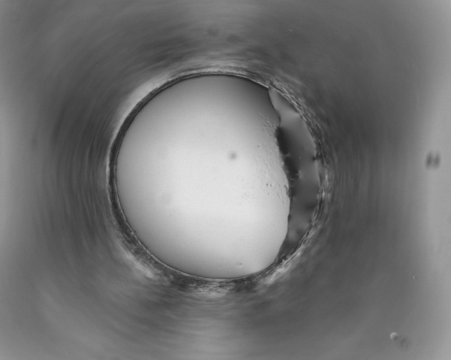 X0000089940148200707271825