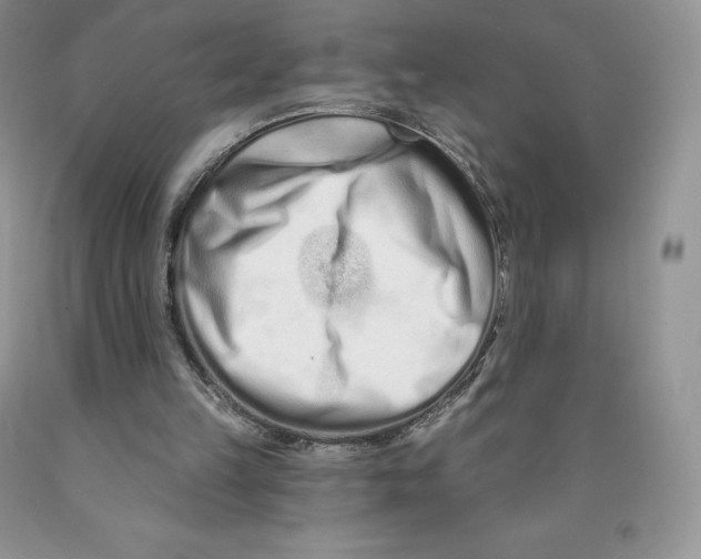 X0000089940149200707271825