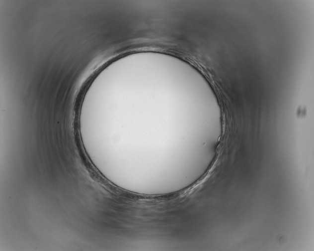 X0000089940150200707271825