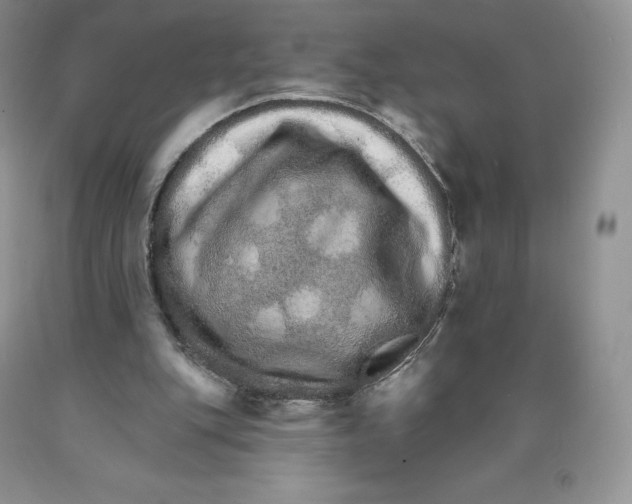 X0000089940151200707271825