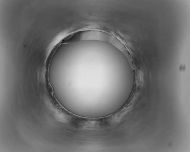 X0000089940152200707271825