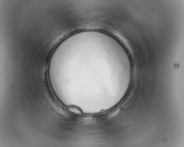 X0000089940153200707271825