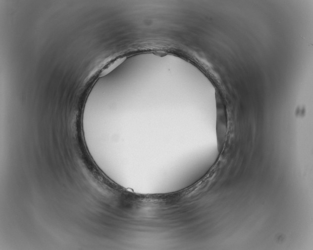 X0000089940154200707271825