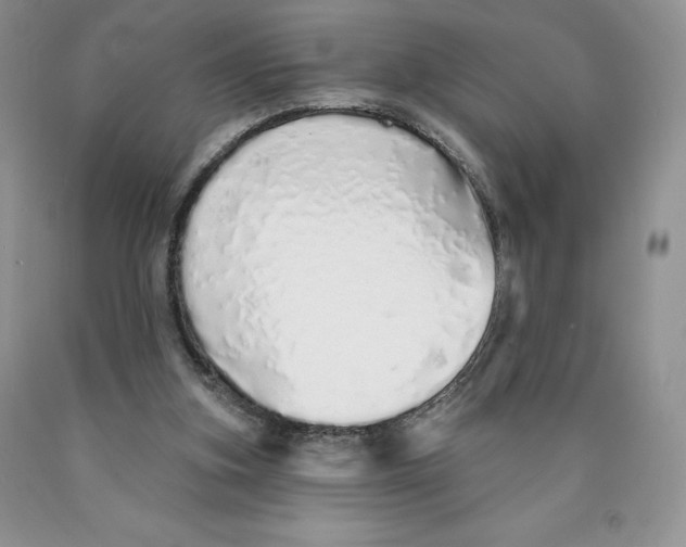 X0000089940155200707271825