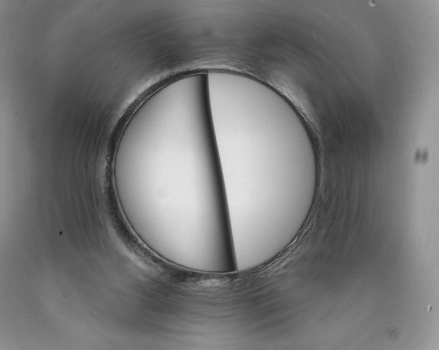 X0000089940156200707271825