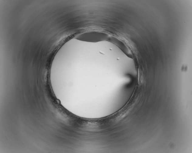 X0000089940157200707271825