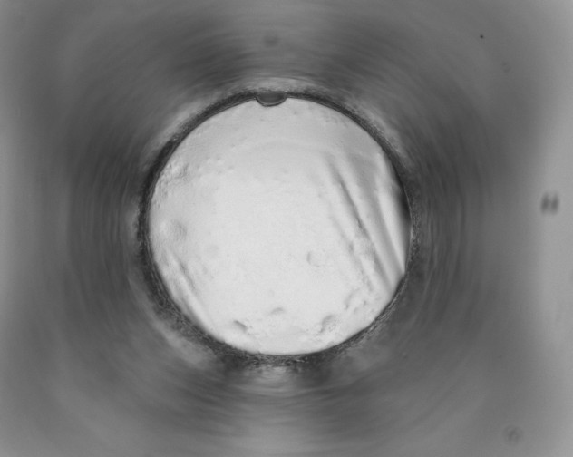 X0000089940159200707271825