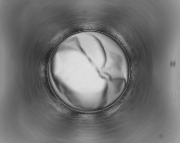 X0000089940161200707271826