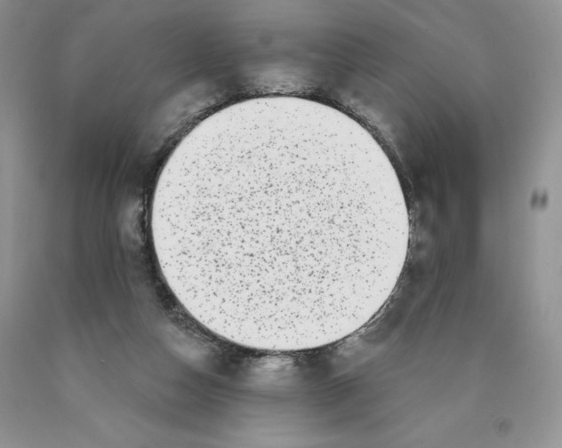 X0000089940162200707271826
