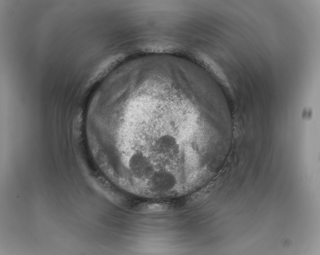 X0000089940163200707271826