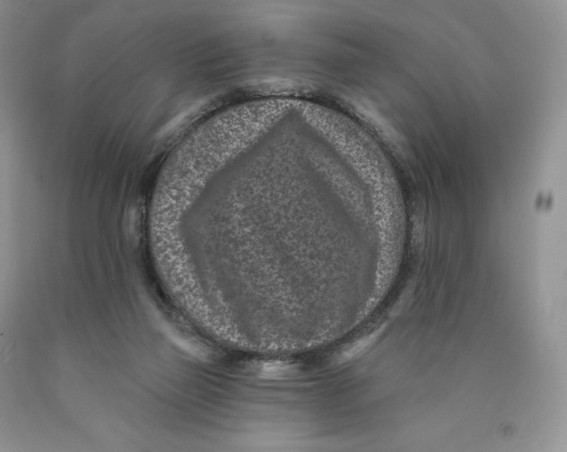 X0000089940165200707271826