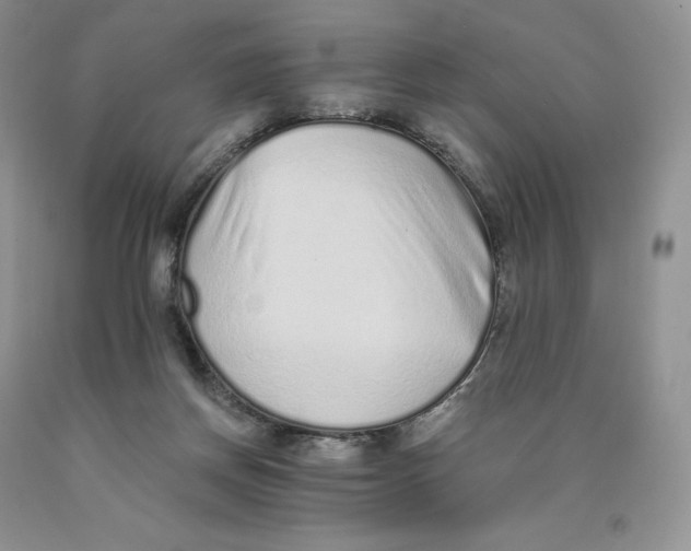 X0000089940166200707271826