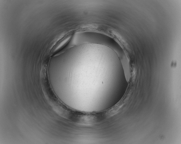X0000089940168200707271826