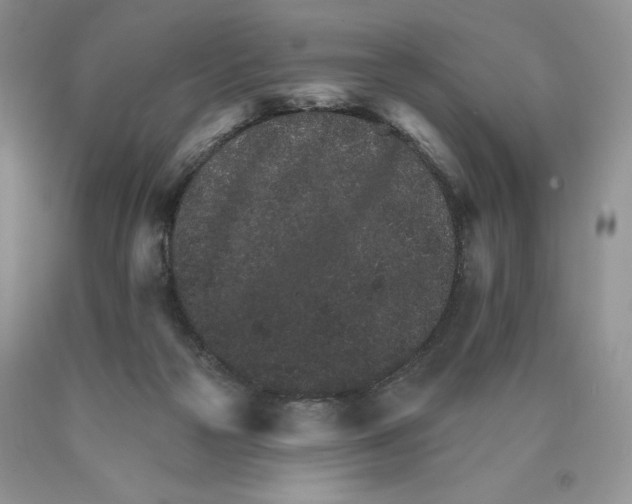 X0000089940169200707271826