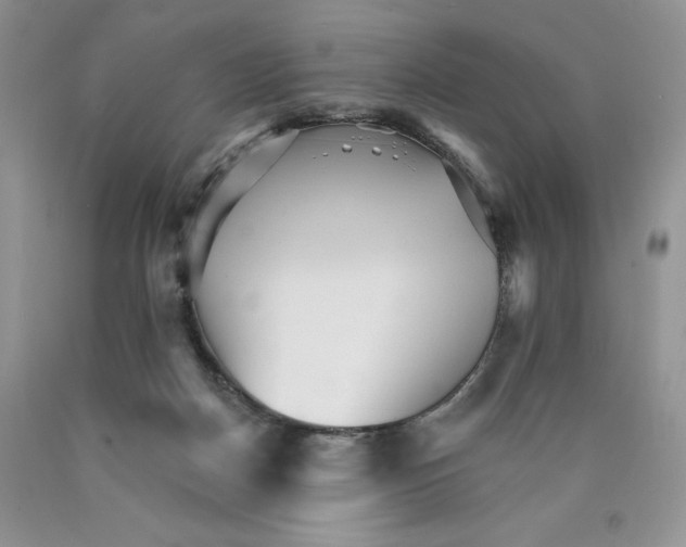 X0000089940170200707271826