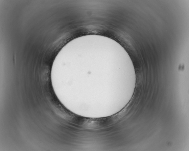 X0000089940174200707271826