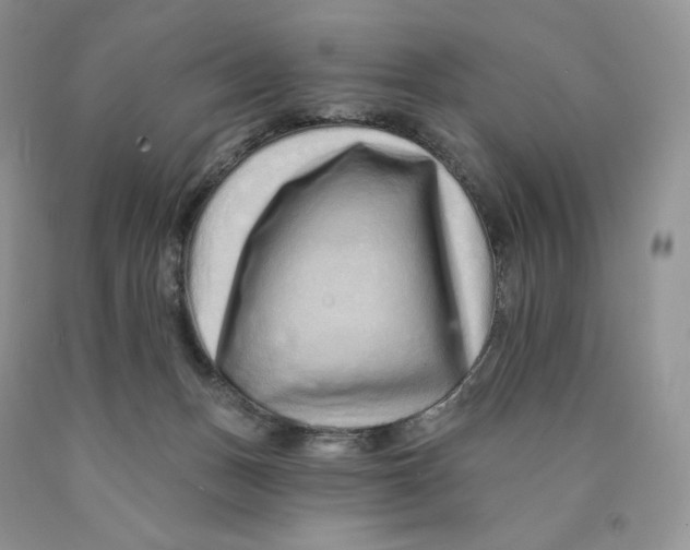 X0000089940175200707271826