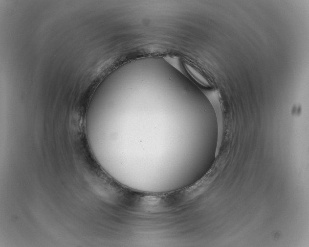 X0000089940176200707271826