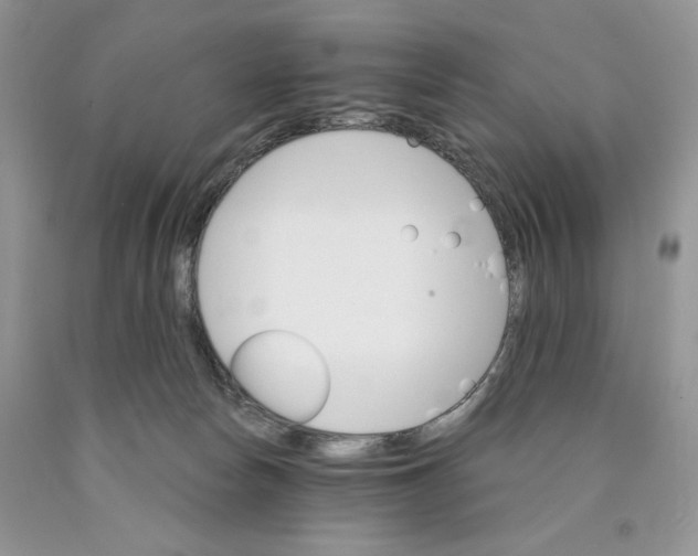 X0000089940178200707271826
