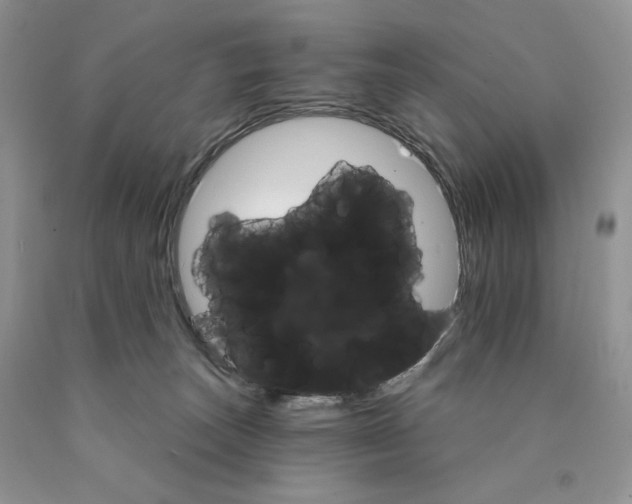 X0000089940179200707271826