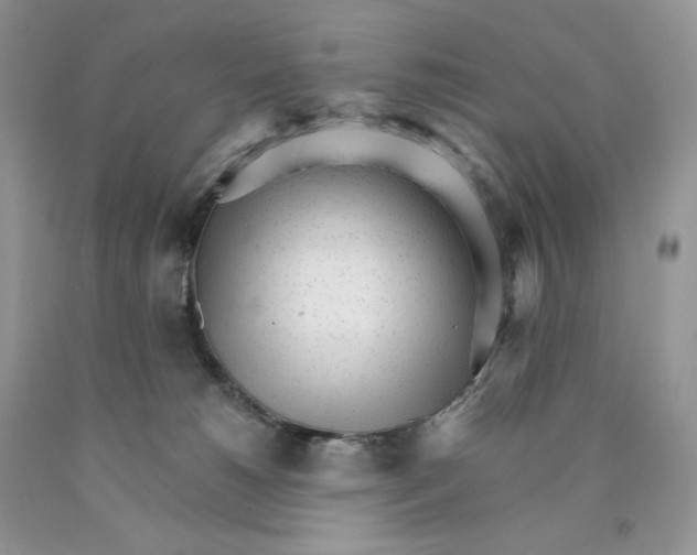X0000089940180200707271826
