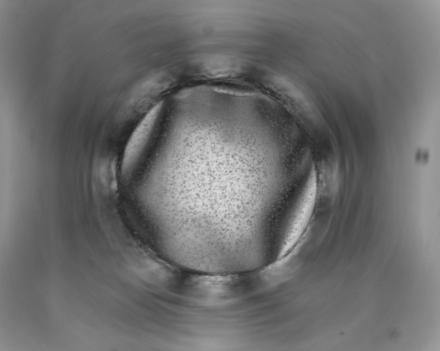 X0000089940182200707271826