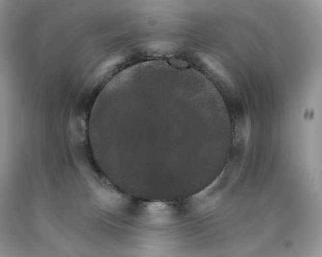 X0000089940183200707271826