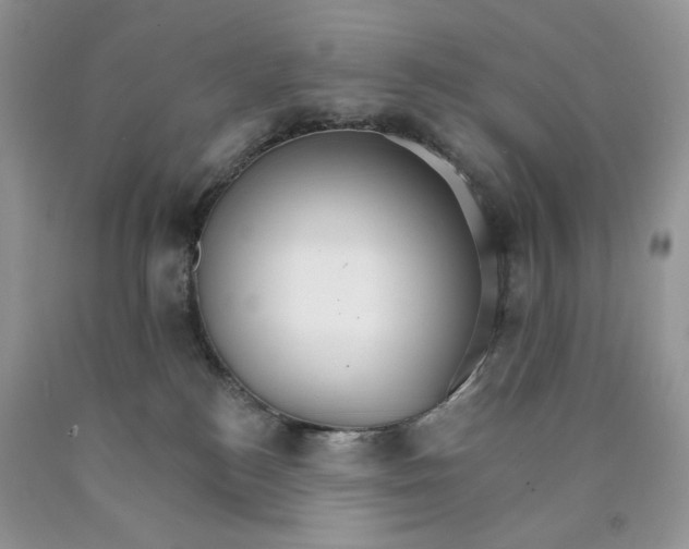 X0000089940184200707271826