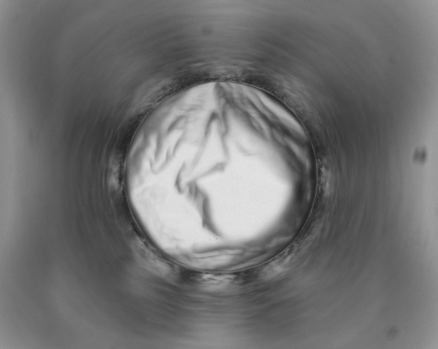 X0000089940185200707271826