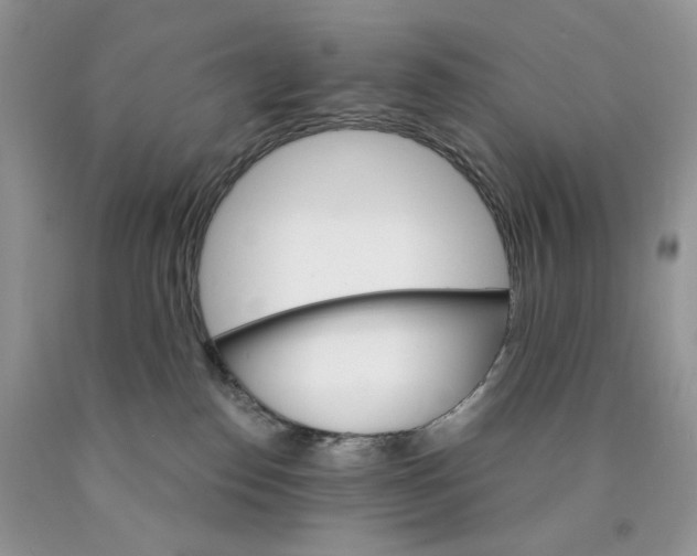 X0000089940186200707271826
