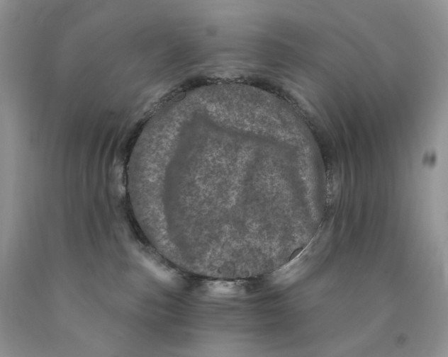 X0000089940187200707271826