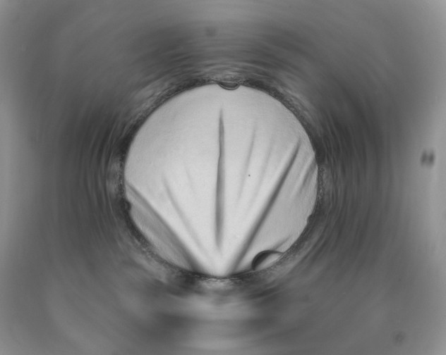 X0000089940189200707271826