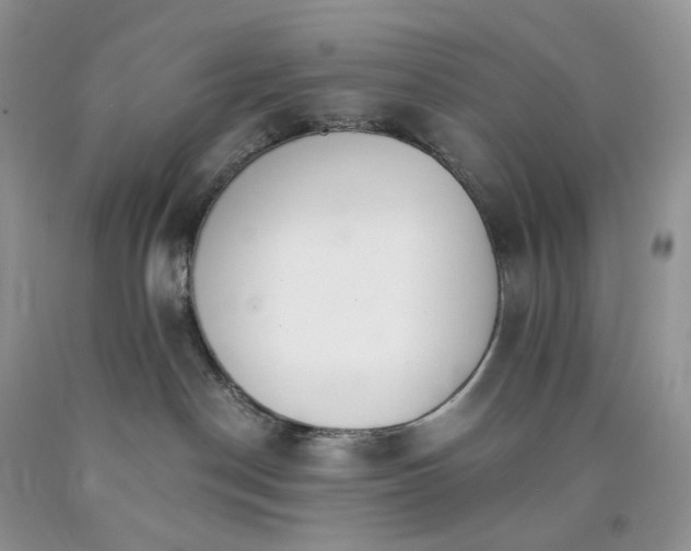 X0000089940190200707271826