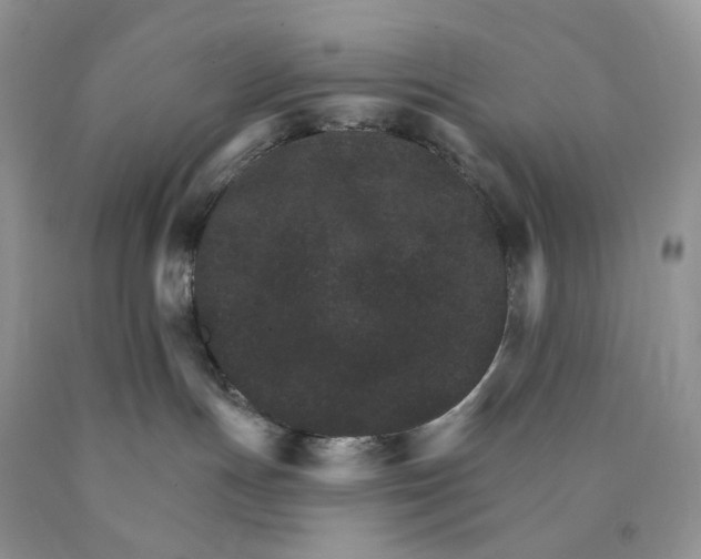 X0000089940191200707271826