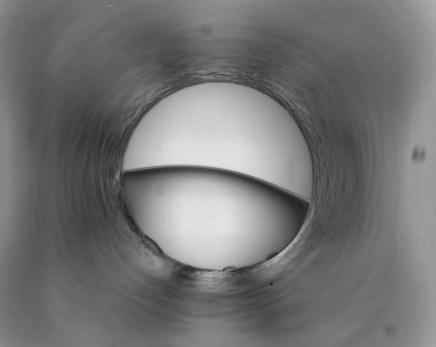 X0000089940192200707271826