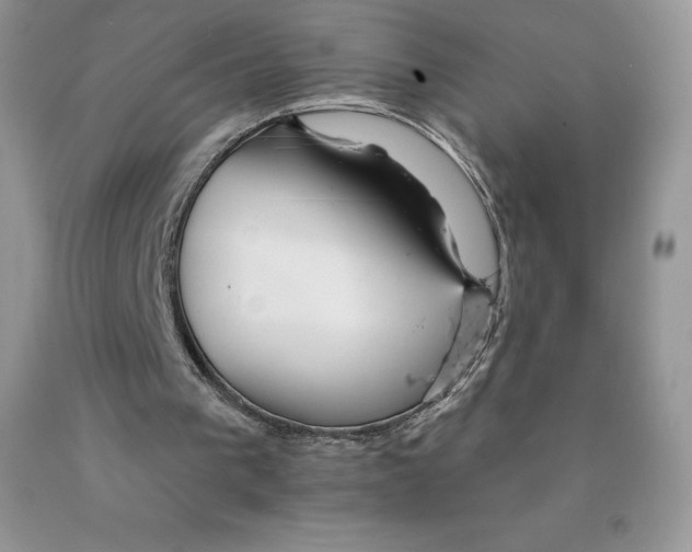 X0000089940193200707271825