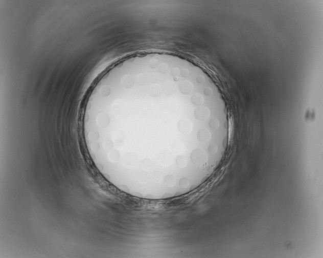 X0000089940195200707271825