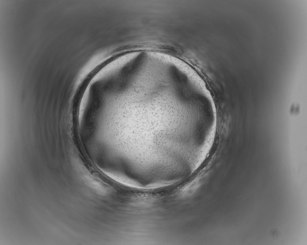X0000089940198200707271825