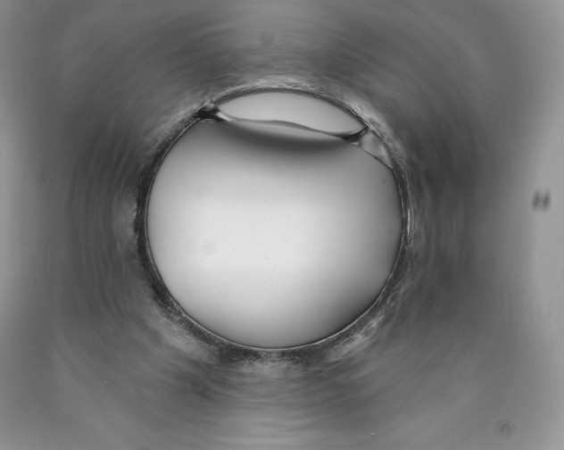 X0000089940201200707271825