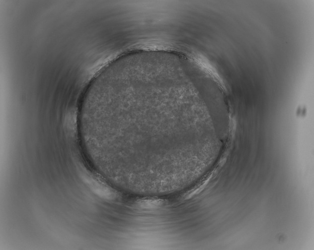 X0000089940202200707271825