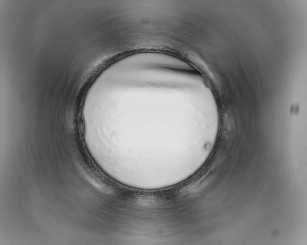 X0000089940203200707271825