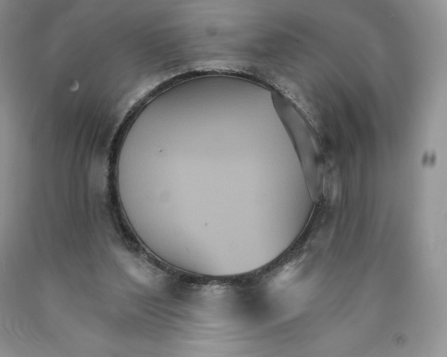 X0000089940204200707271825