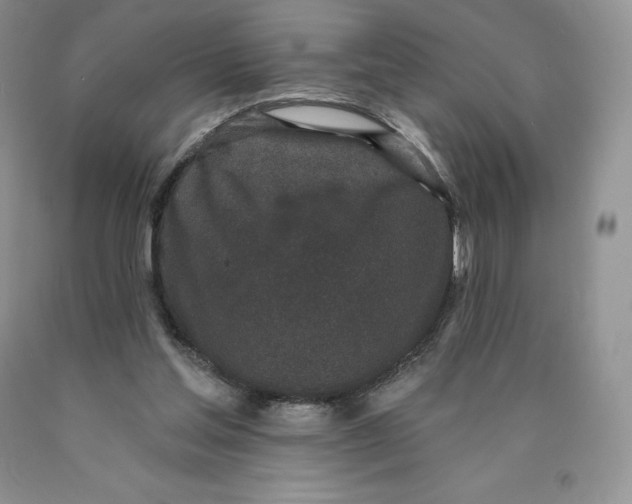 X0000089940205200707271825