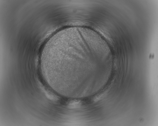 X0000089940206200707271825