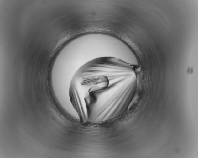 X0000089940207200707271825
