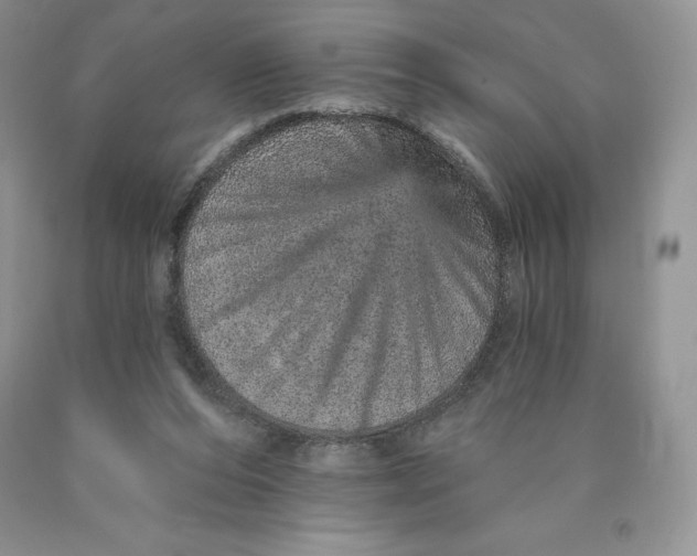 X0000089940208200707271825
