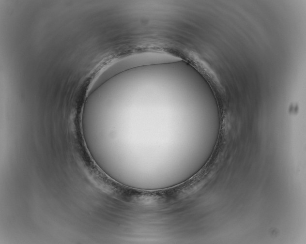 X0000089940209200707271825