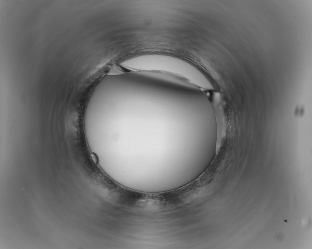 X0000089940211200707271825