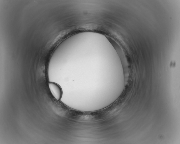 X0000089940212200707271825
