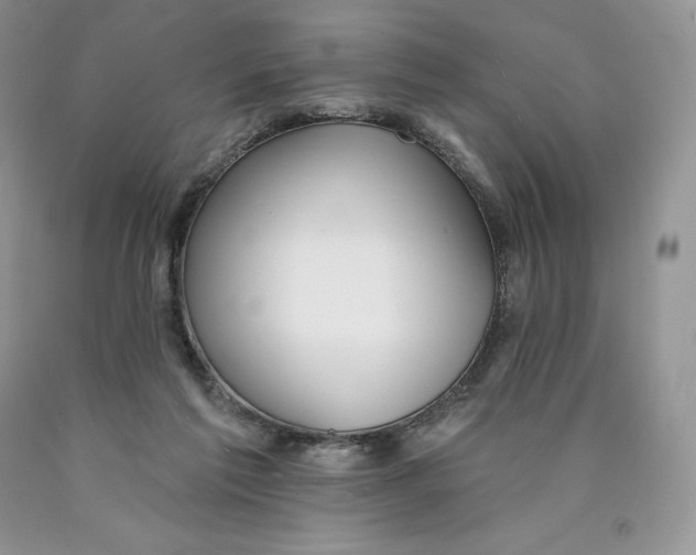 X0000089940213200707271825